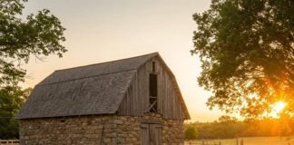 Starting a Hobby Farm: What You’ll Wish You Knew Sooner Golden hour on a charming hobby farm