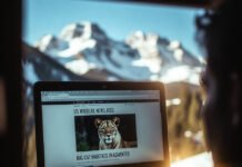 Wildlife News Updates That Affect Tigers, Lions, and Leopards Laptop showing big cat news with snowy mountain reflection.