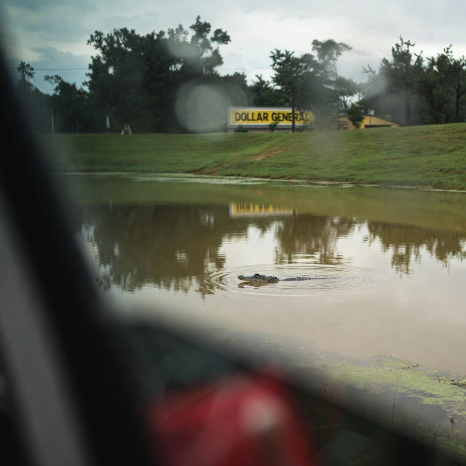 Small alligator eyes in retention pond, Dollar General sign reflected through rainy car window.