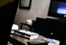 Big Cats Pics That Look Too Wild to Be Real Hand holding tilted phone showing dark living room TV setup