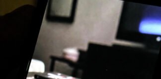 Big Cats Pics That Look Too Wild to Be Real Hand holding tilted phone showing dark living room TV setup